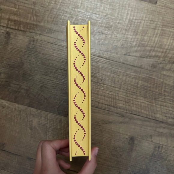 Afterlight the soulmate equation - Picture 2 of 5